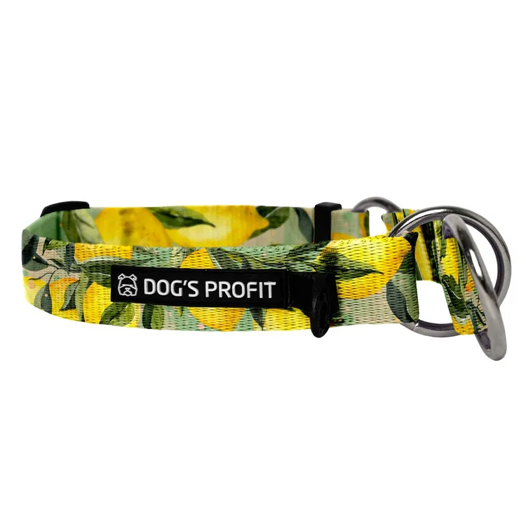 Obroża półzaciskowa SIGNORA LIMONE S|20mm