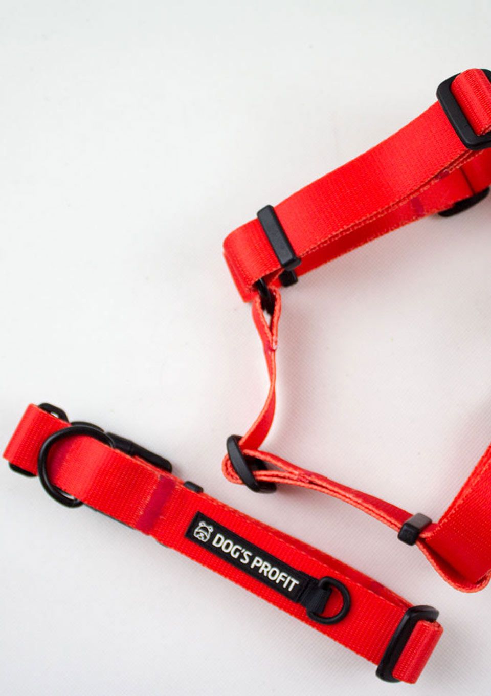 Obroża ROSSO S | 20mm