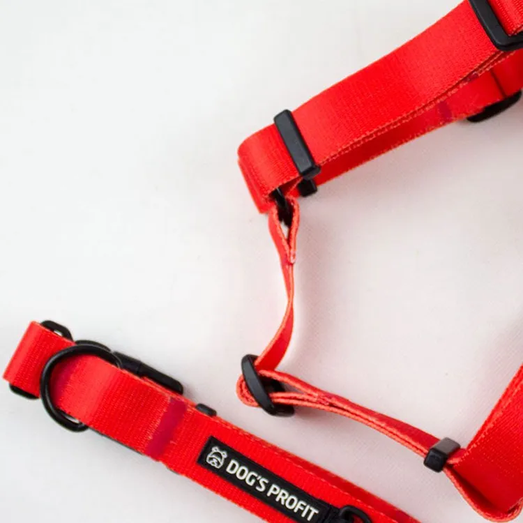 Obroża ROSSO S | 20mm