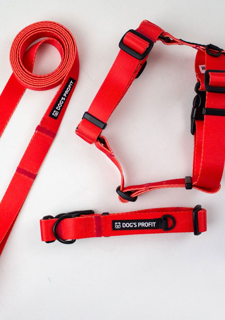 Obroża ROSSO S | 20mm