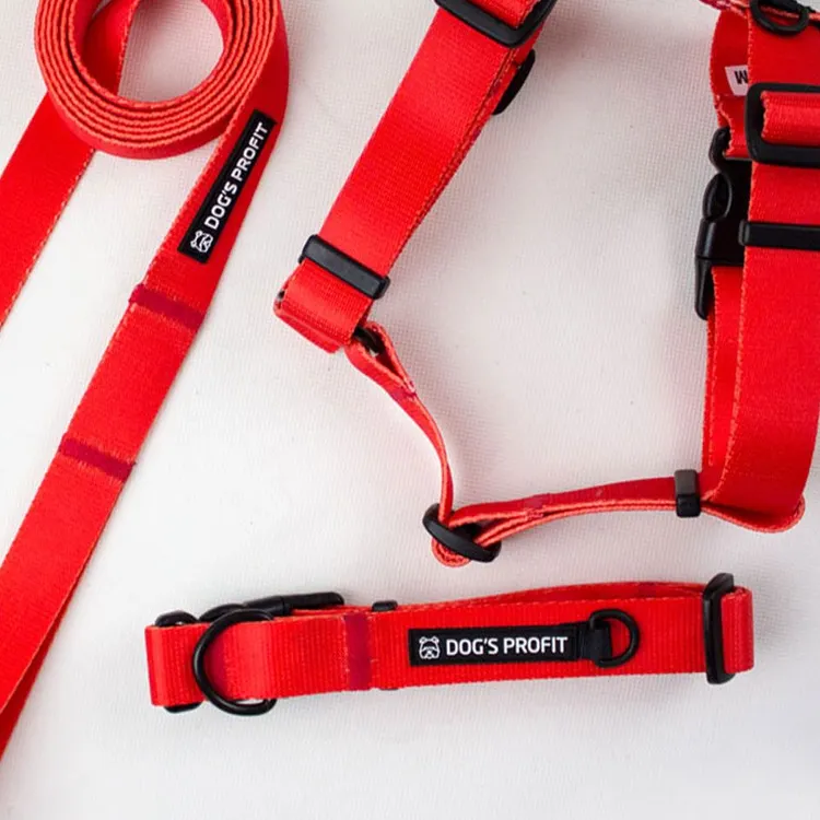 Obroża ROSSO S | 20mm