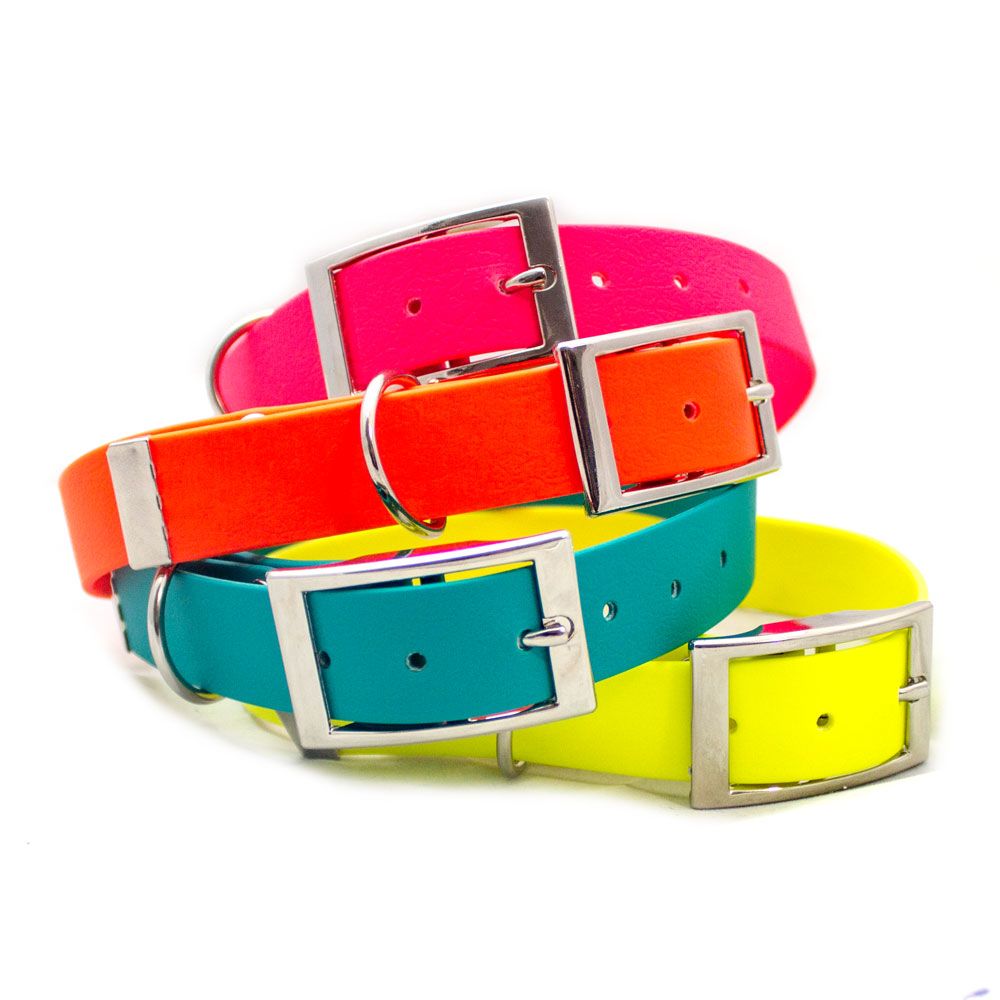 Obroża ze sprzączką ADVENTURE CRAZY ORANGE S | 16mm