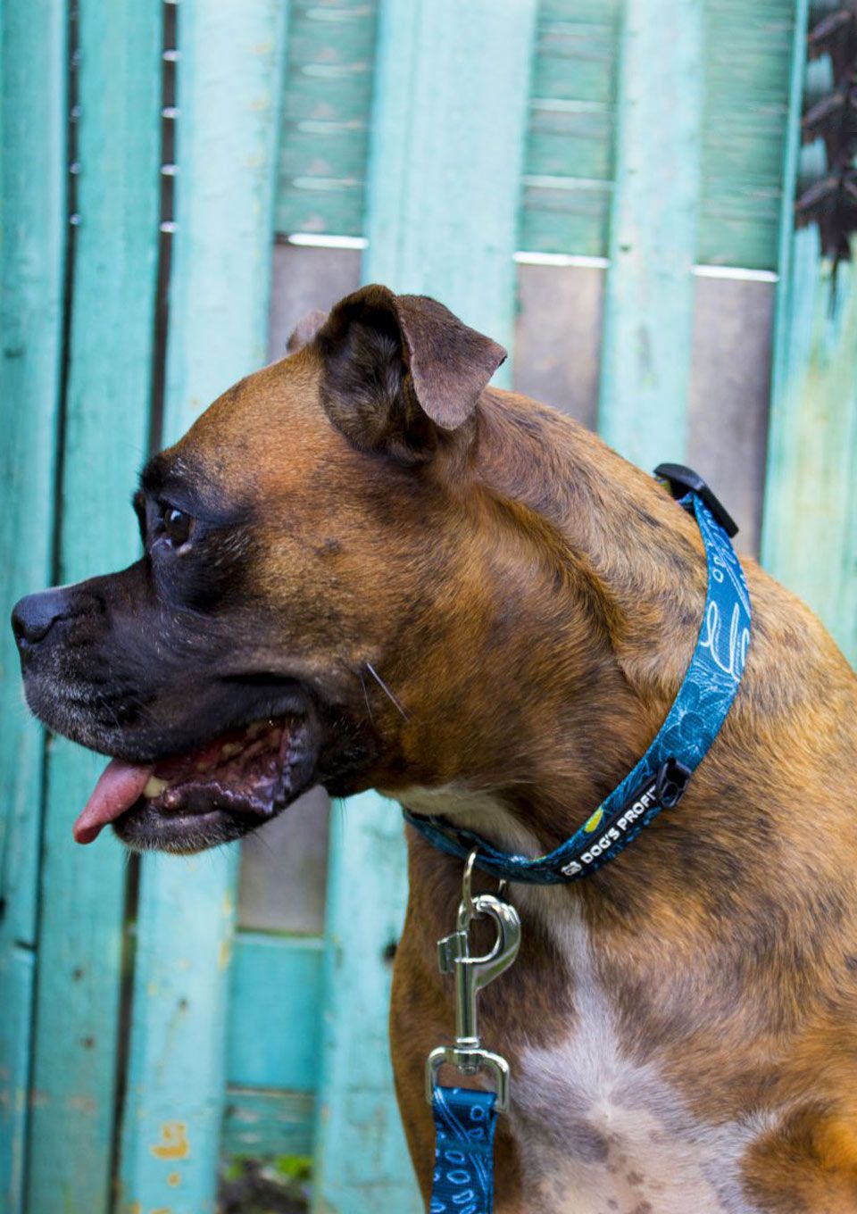 Obroża TROPICAL S | 20mm