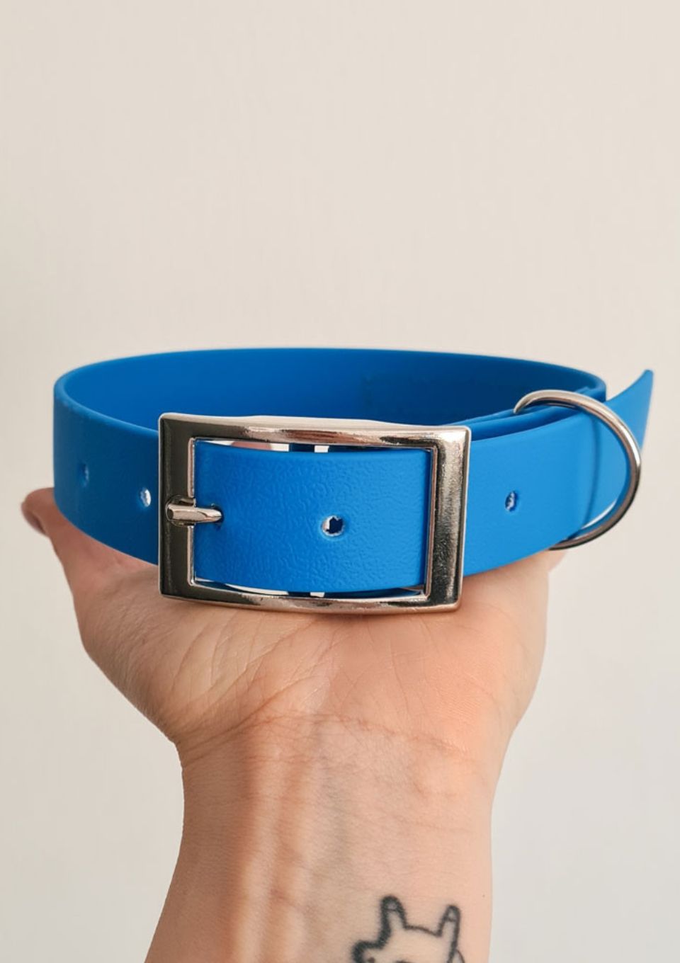 Obroża ze sprzączką ADVENTURE AQUA S | 16mm