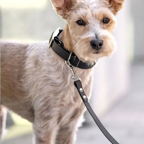 Smycz miejska ADVENTURE BLACKY