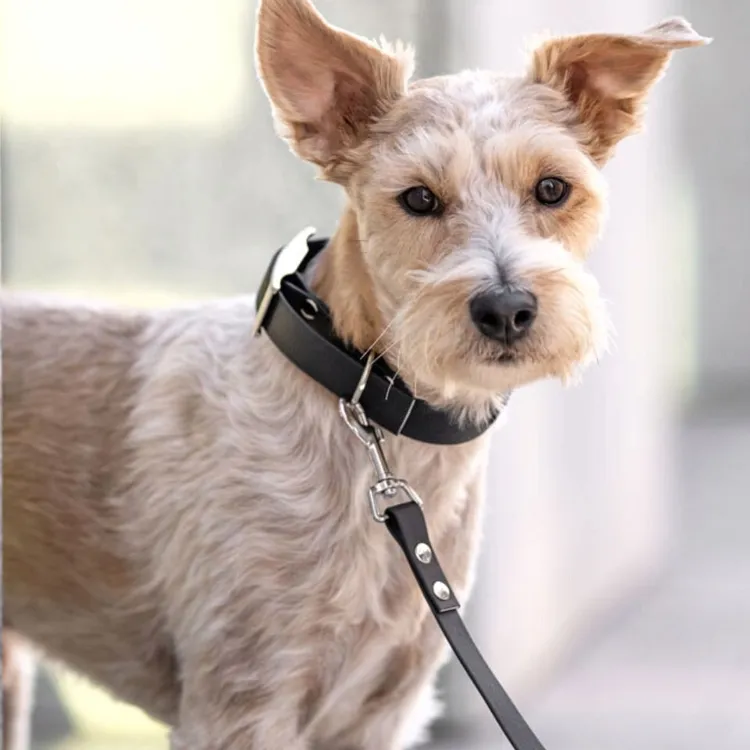 Smycz przepinana ADVENTURE BLACKY 240cm 13mm