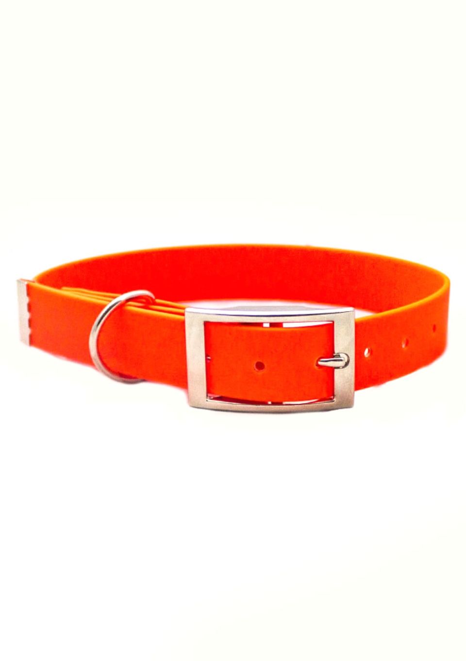 Obroża ze sprzączką ADVENTURE CRAZY ORANGE S | 16mm