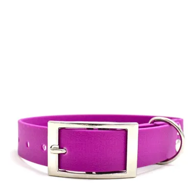 Obroża ze sprzączką ADVENTURE LILAC