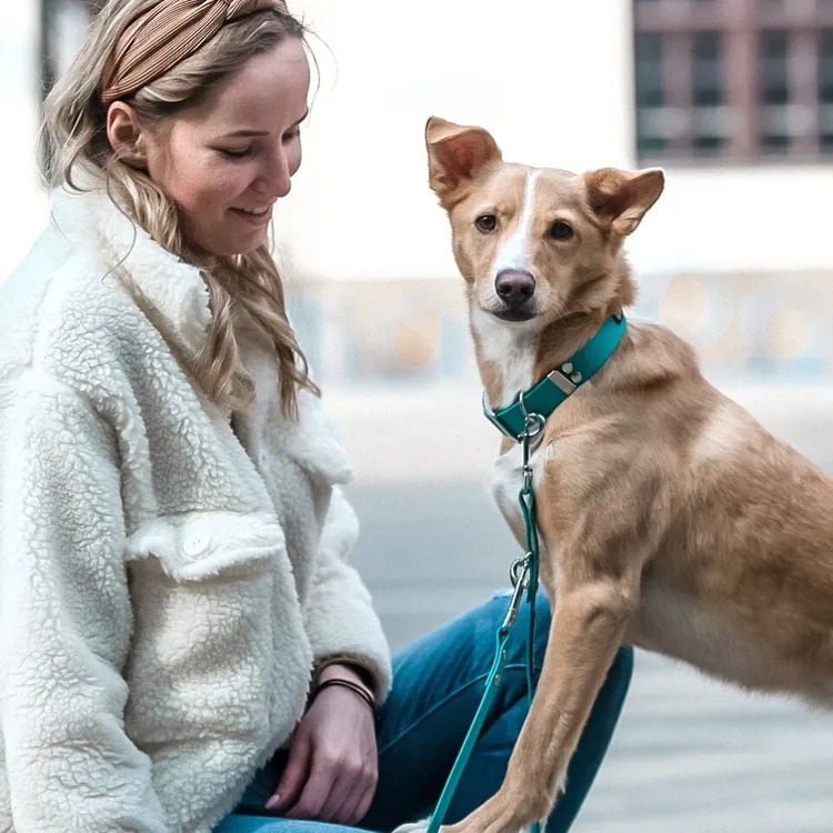 Smycz przepinana ADVENTURE OCEAN 240cm 13mm