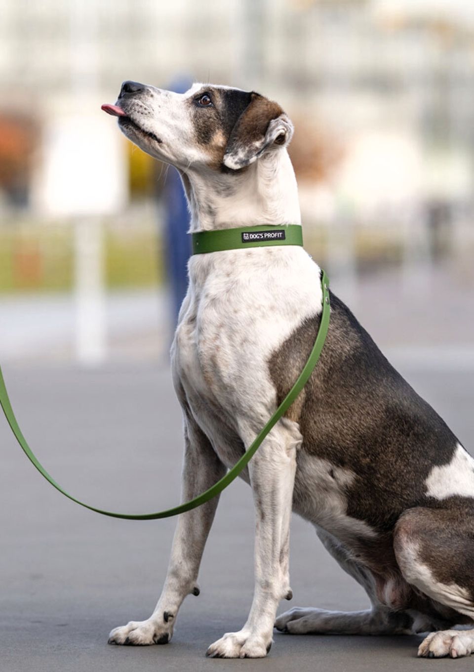 Smycz przepinana ADVENTURE OLIVE 240cm 13mm