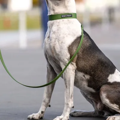 Smycz przepinana ADVENTURE OLIVE