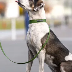 Smycz przepinana ADVENTURE OLIVE