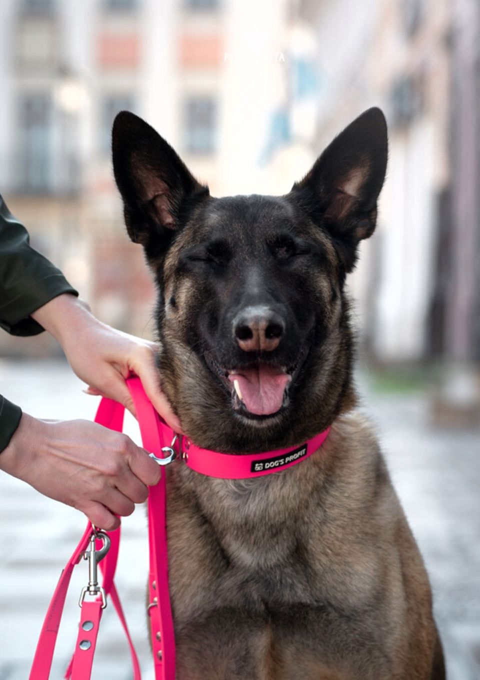 Smycz miejska ADVENTURE PINK 150cm 16mm