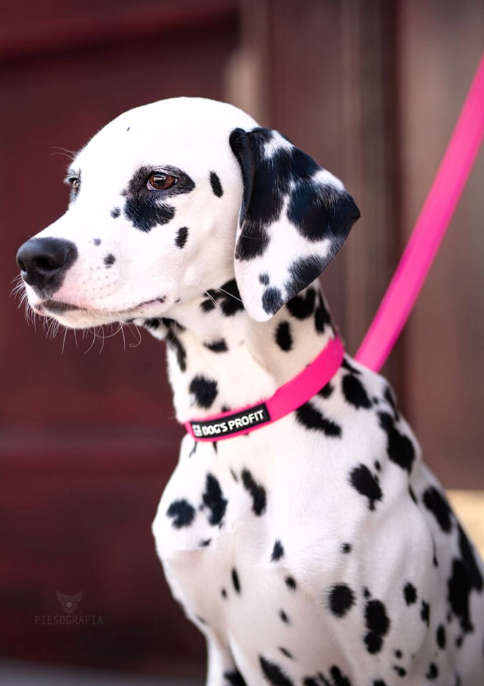 Smycz miejska ADVENTURE PINK 150cm 16mm