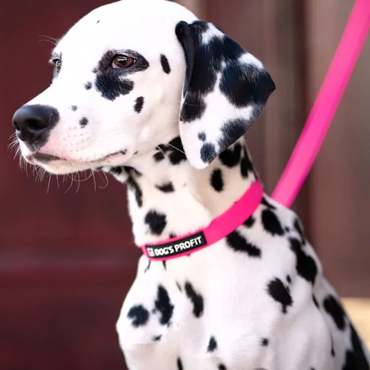 Smycz miejska ADVENTURE PINK 150cm 16mm