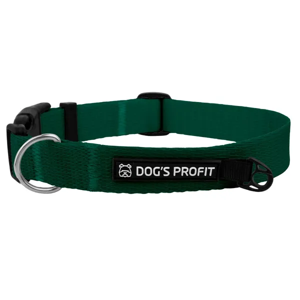 Obroża z klamrą ZIELONA JAK BUTELKA