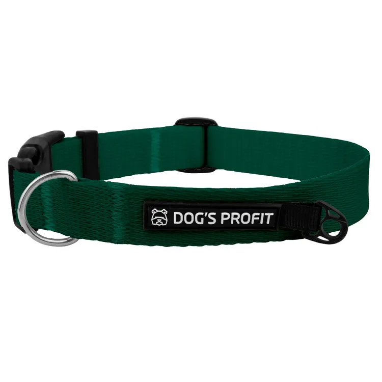 Obroża z klamrą BASIC BUTELKOWA ZIELEŃ S|20mm