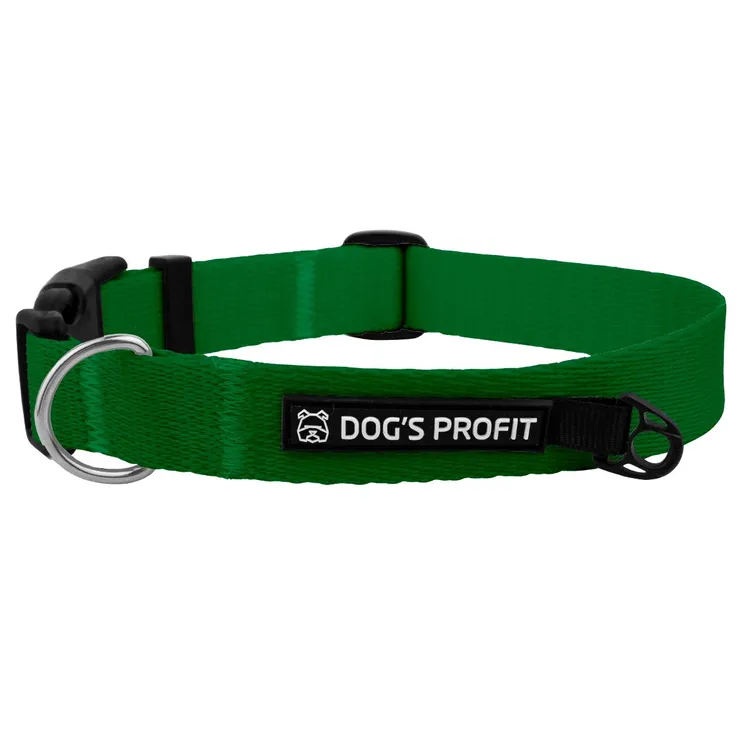 Obroża z klamrą ZIELONA JAK MATCHA S|20mm