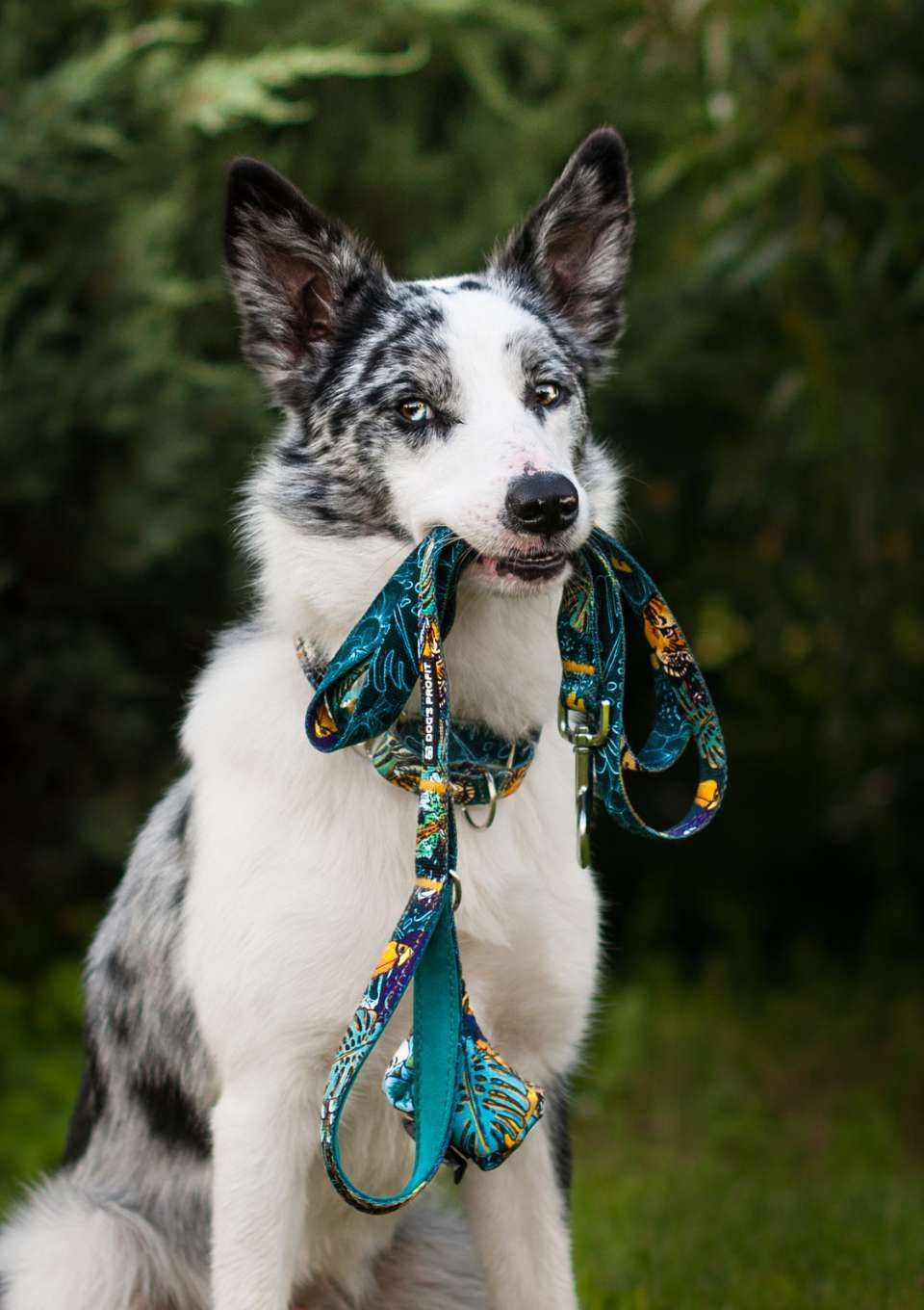 Smycz miejska EXOTIC 150cm 20mm