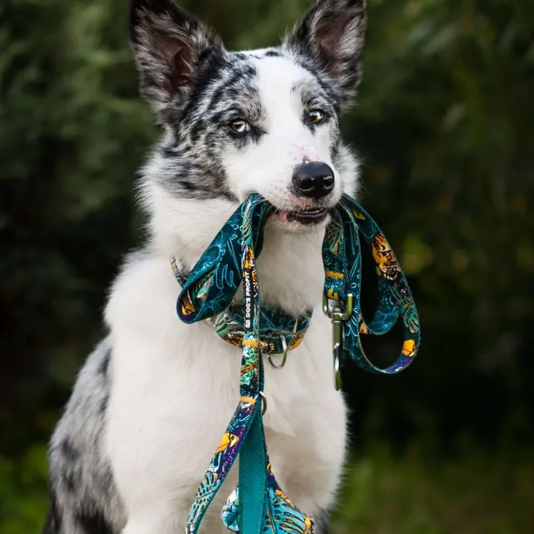 Smycz miejska EXOTIC 150cm 20mm