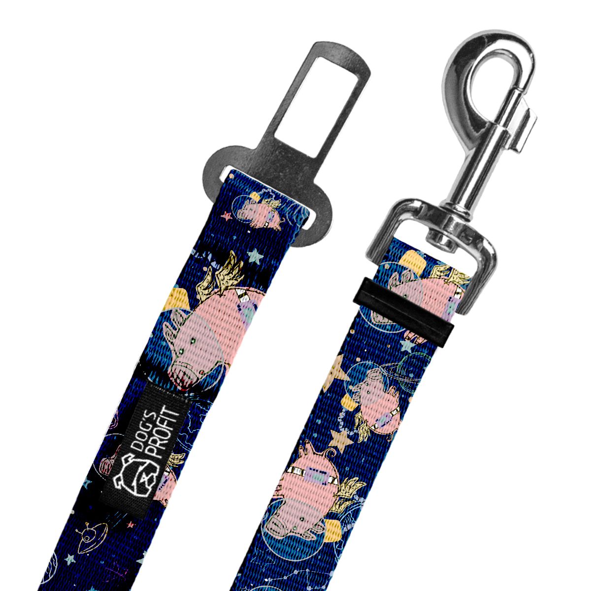 Pas do auta Astro Pig