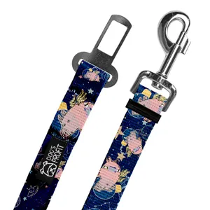 Pas do auta Astro Pig