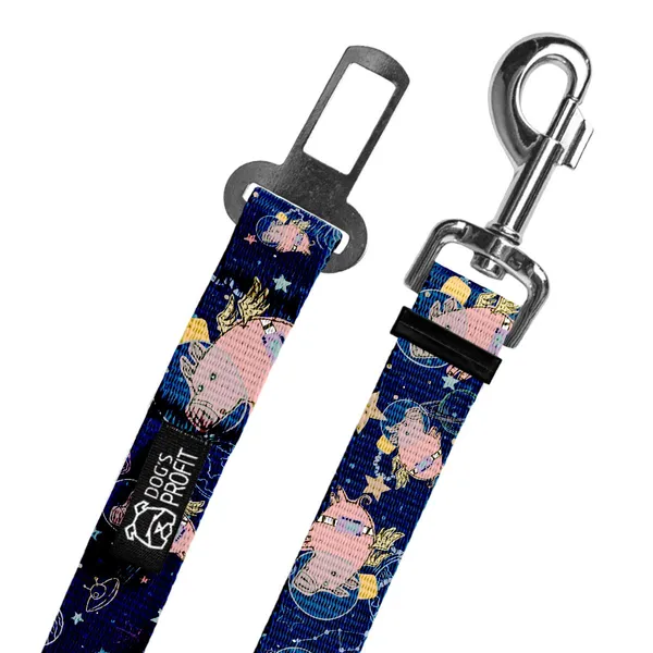 Pas do auta Astro Pig