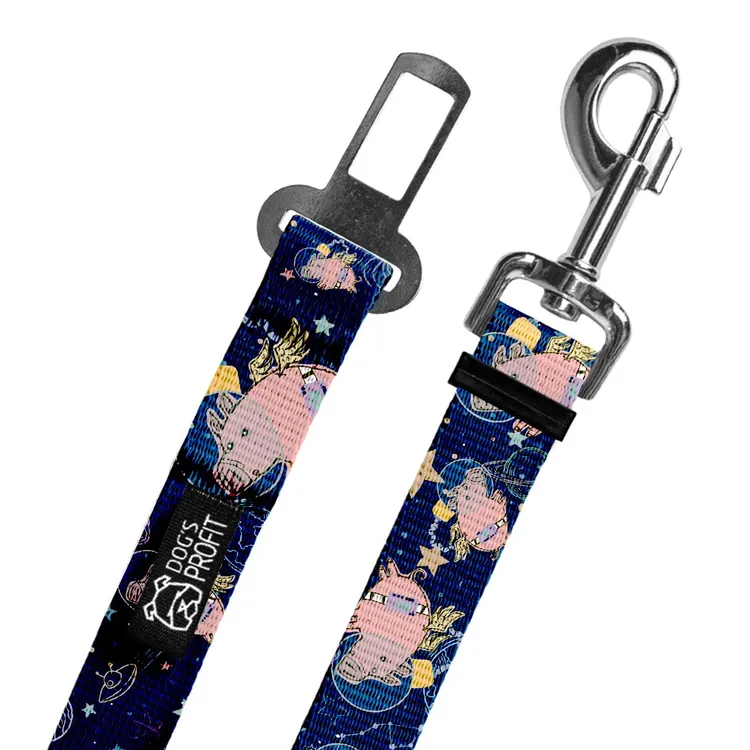 Pas do auta Astro Pig