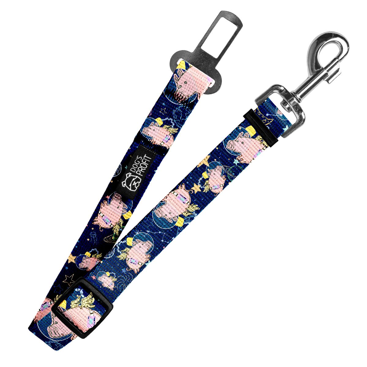 Pas do auta Astro Pig