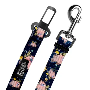 Pas do auta Astro Pig