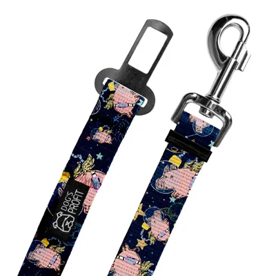 Pas do auta Astro Pig