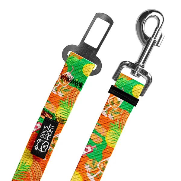 Pas do auta Beach PAWty