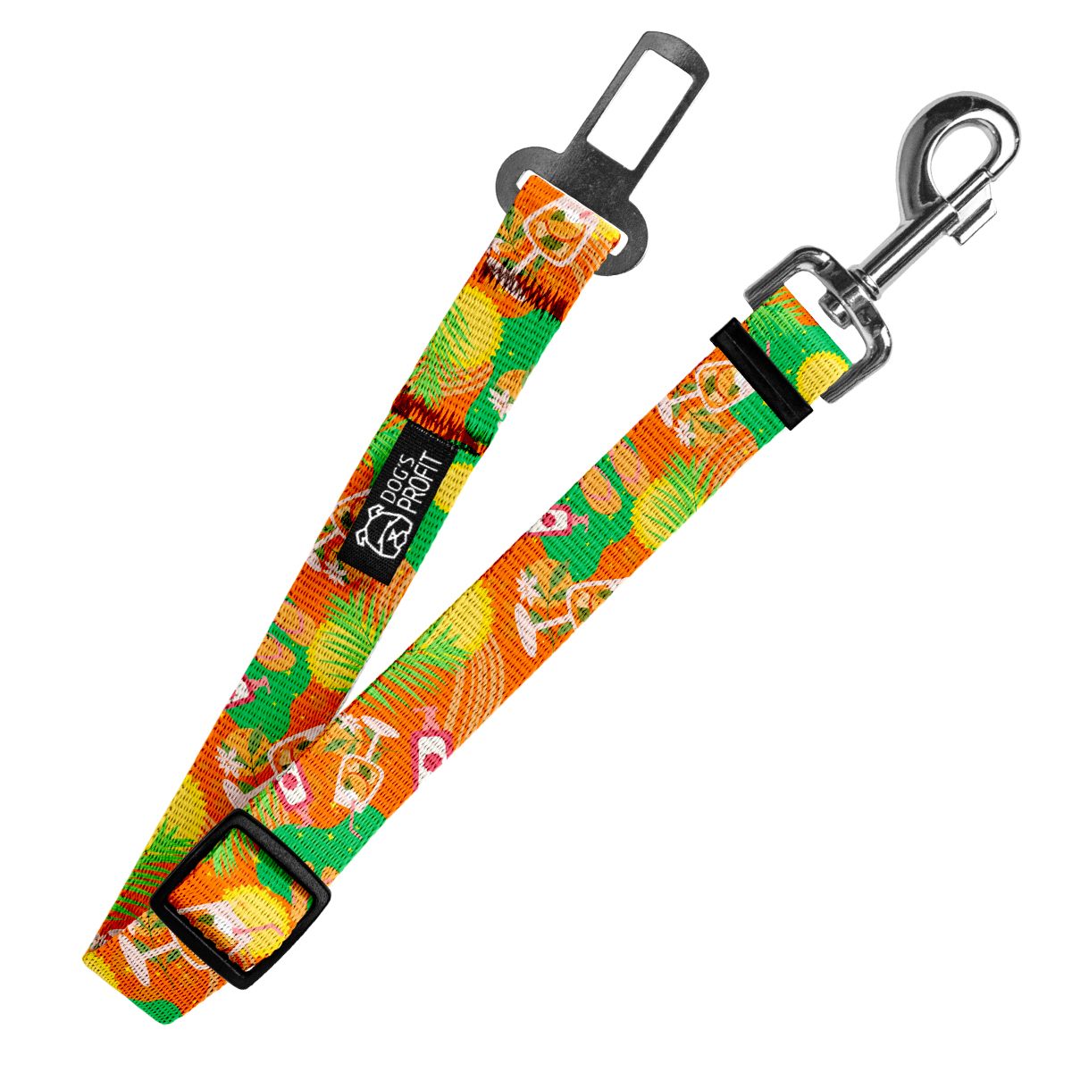 Pas do auta Beach PAWty