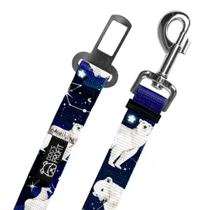 Pas do auta EKSPRES POLARNY