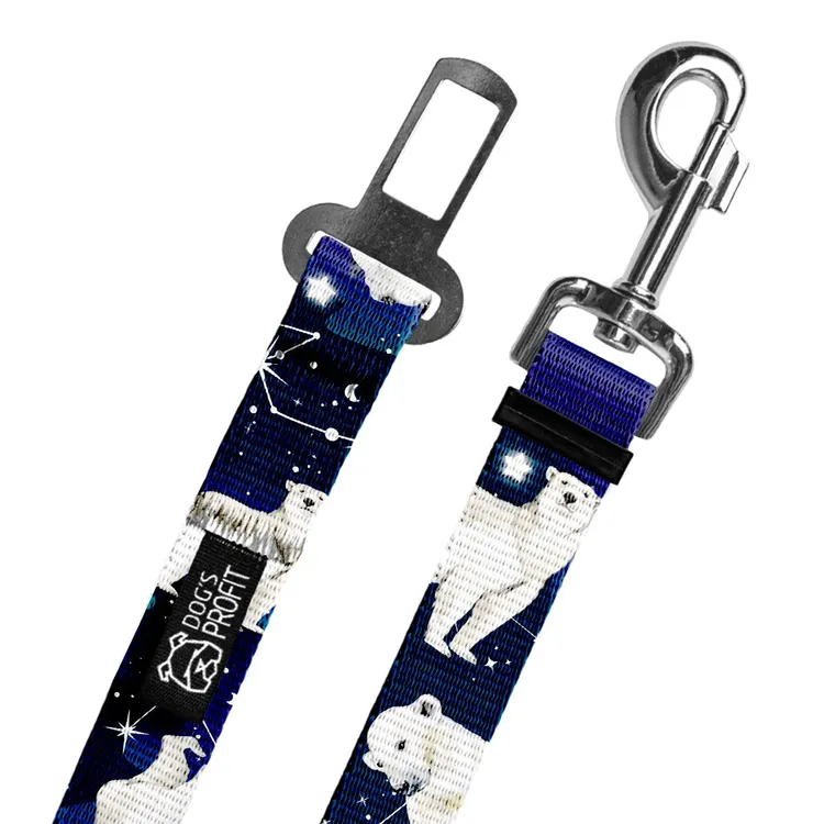 Pas do auta EKSPRES POLARNY 20mm