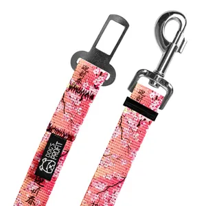 Pas do auta Sakura
