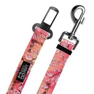 Pas do auta Sakura
