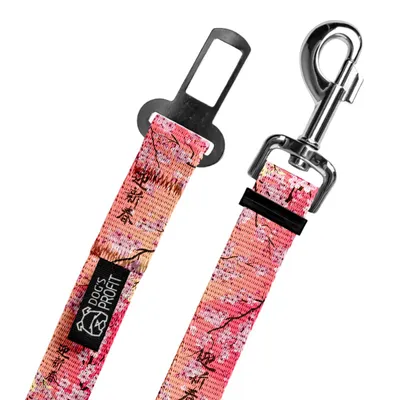 Pas do auta Sakura