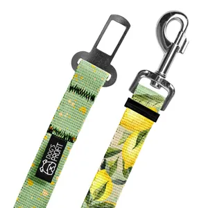 Pas do auta SIGNORA LIMONE