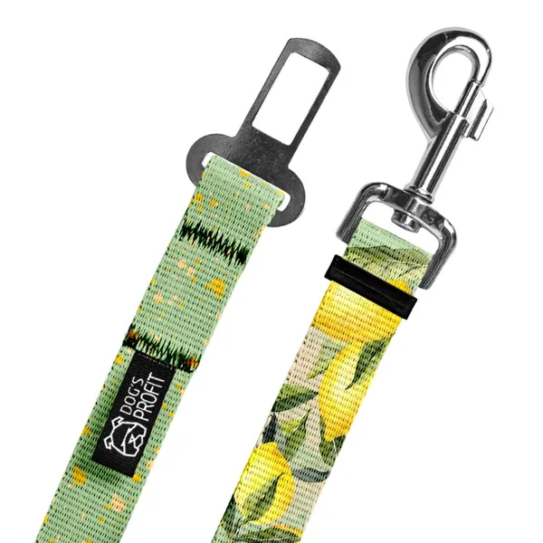 Pas do auta SIGNORA LIMONE