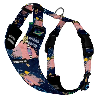 Szelki bezuciskowe PRO-FIT™ ASTRO PIG