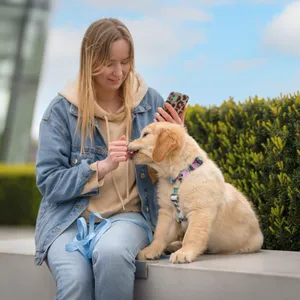 Szelki, smycz, obroża Dog's Profit