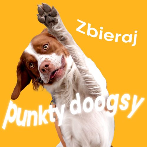 Punkty lojalnościowe - doogsy