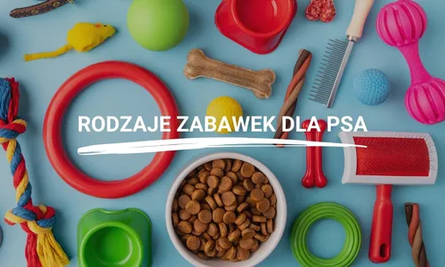 Zabawki dla psa.