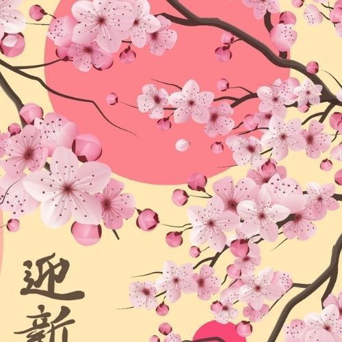 Szelki bezuciskowe PRO-FIT™ Sakura XS|20mm