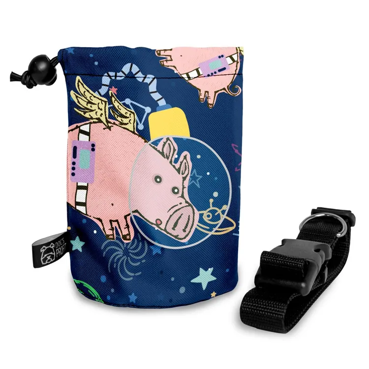 Saszetka na przysmaki ASTRO PIG