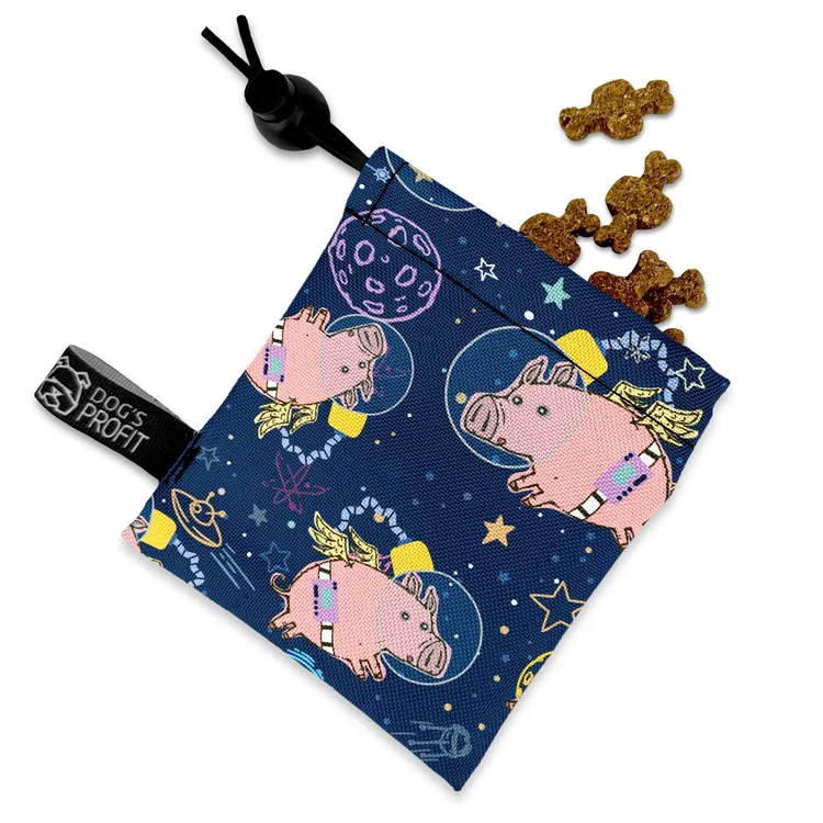 MINI saszetka na smaczki Astro Pig