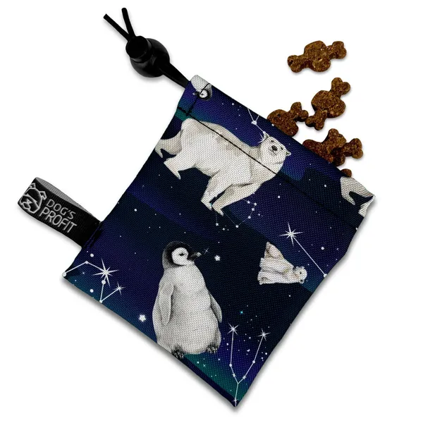 MINI saszetka na smaczki Ekspres Polarny