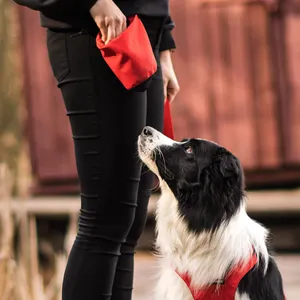 Sasztka na przysmaki Dog's Profit