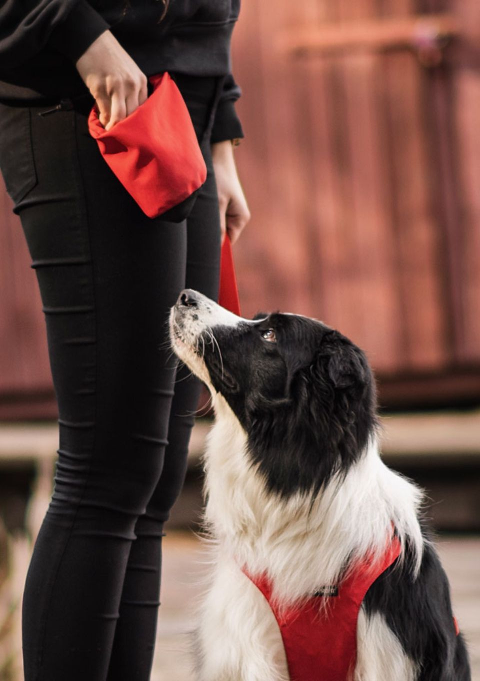 Saszetka na przysmaki ROSSO